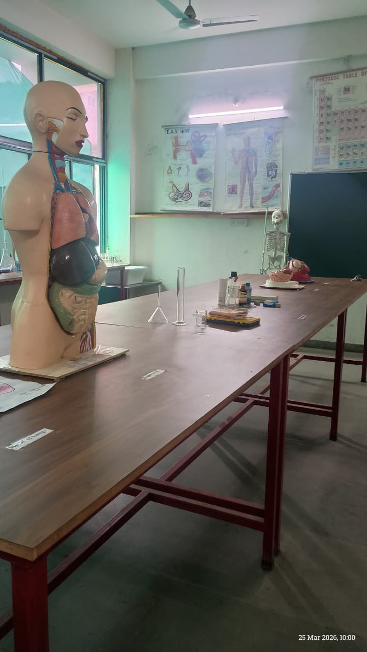 MDS International school